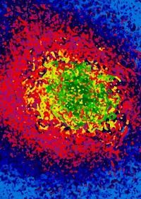 x-ray speckle reveals nanoscale spin dynamics 